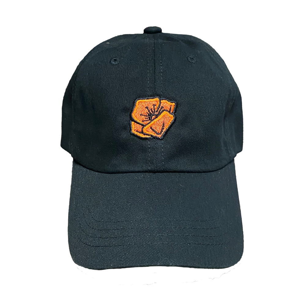 Run Against Traffic - Poppy Dad Hat